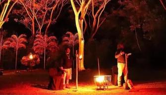 Flames of the Forest - Aboriginal Cultural Experience