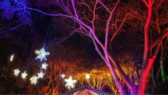 Flames of the Forest - Aboriginal Cultural Experience