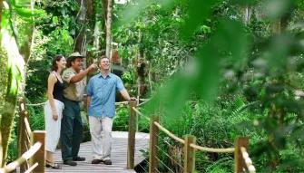 Kuranda, Skyrail & Scenic Rail