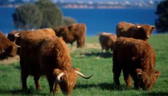 Melbourne Unlimited Attraction Pass