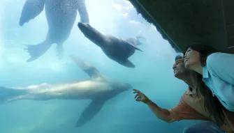 Aquarium of Pacific in Los Angeles