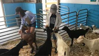 Sydney Unlimited Attraction Pass Sydney Unlimited Attraction Pass