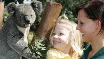 Sydney Unlimited Attraction Pass Sydney Unlimited Attraction Pass