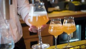 Go City: Vienna Explorer Pass