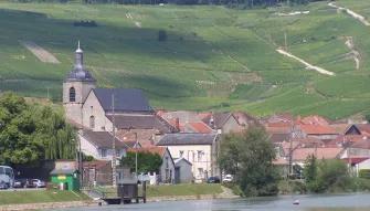 A Day in Champagne from Paris