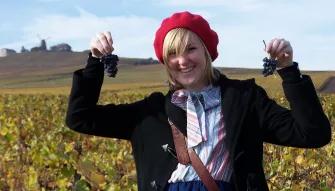 A Day in Champagne from Paris