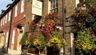 Windsor Discovery