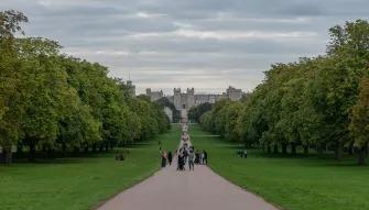 Windsor Discovery