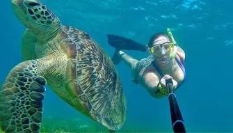 Ocean Free Sail to Green Island & Great Barrier Reef