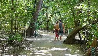 Ocean Free Sail to Green Island & Great Barrier Reef