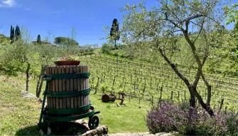 Chianti Tour: Wine Experience in Chianti Hills & Radda in Chianti from Florence Chianti Tour: Wine Experience in Chianti Hills & Radda in Chianti from Florence