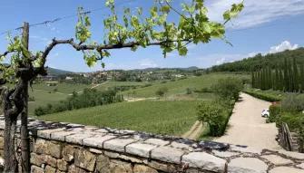 Chianti Tour: Wine Experience in Chianti Hills & Radda in Chianti from Florence Chianti Tour: Wine Experience in Chianti Hills & Radda in Chianti from Florence