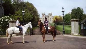One Hour Horse Riding in Windsor Great Park Experience Voucher