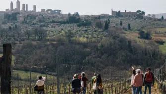 Tuscany Experience: Pisa, Siena, San Gimignano and Chianti from Florence Tuscany Experience: Pisa, Siena, San Gimignano and Chianti from Florence