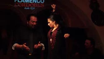 Flamenco Cordobes