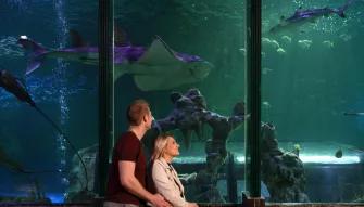 SEA LIFE Blackpool