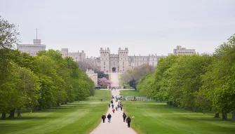 Windsor_grounds