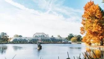 view-of-lake
