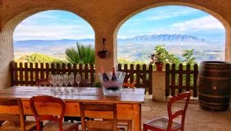 view-of-vineyard