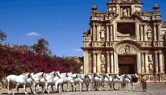 White-horses