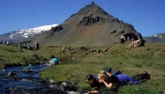 group-drinking-from-river