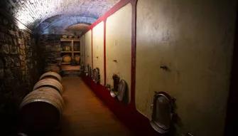 wine-cellar