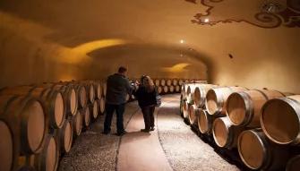 wine-cellars