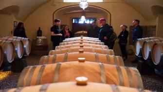 wine-cellar