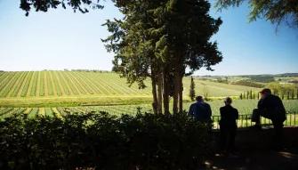 tuscan-vineyard