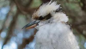 Wilsons Promontory Day Tour