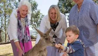 Brisbane-River-Cruise-to-Lone-Pine-Koala-Sanctuary