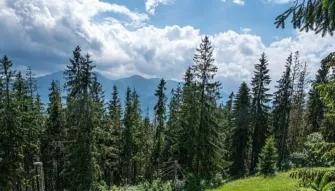 view-from-mountainside