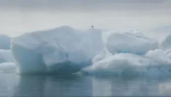 iceberg