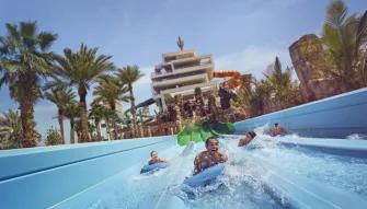 Dolphin Meet & Greet at Atlantis Dubai