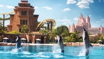 Dolphin Meet & Greet at Atlantis Dubai