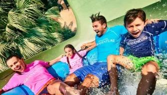 Dolphin Meet & Greet at Atlantis Dubai