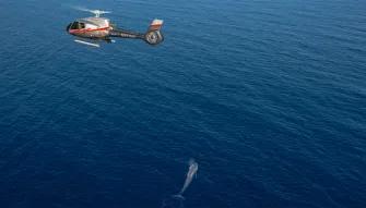 California Coastal Helicopter Tour