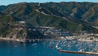 Catalina Explorer Helicopter Tour