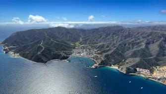 Catalina Explorer Helicopter Tour