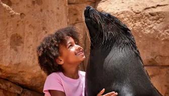 Sea Lion Meet & Greet at Atlantis Dubai
