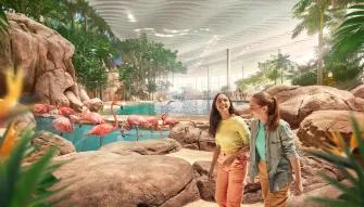 Explore the World's Largest Aquarium: SeaWorld Yas Island Awaits!