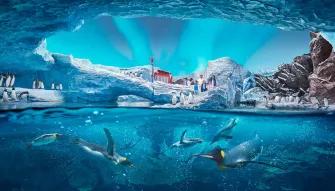 SeaWorld Yas Island Abu Dhabi SeaWorld Yas Island Abu Dhabi