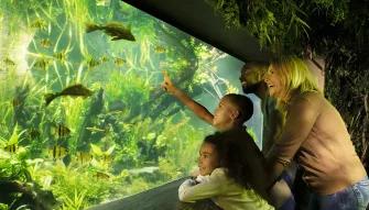 Sea Life London Explorer Pass Explorer Pass - Sea Life London