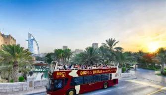 Big Bus Dubai: Night Tour