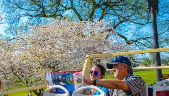 Big Bus Washington DC Hop-On Hop-Off Bus Tour