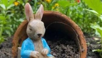peter-rabbit-statue-in-garden