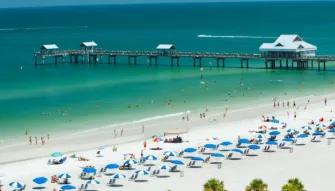 Gray Line Orlando Clearwater Beach Tours Gray Line Orlando Clearwater Beach Tours