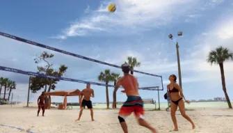 Gray Line Orlando Clearwater Beach Tours Gray Line Orlando Clearwater Beach Tours