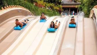 Naga Racer Siam Park Naga Racer Waterslide Siam Park Tenerife