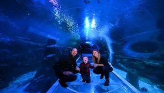 Sealife-tunnel
